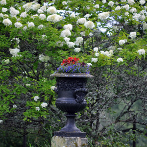 Sälboda Herrgård – Blommor i urna